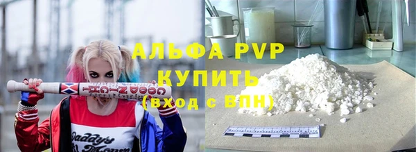прущие грибы Магадан