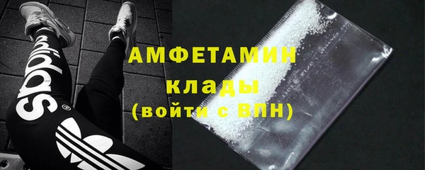 прущие грибы Магадан