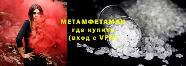 прущие грибы Магадан