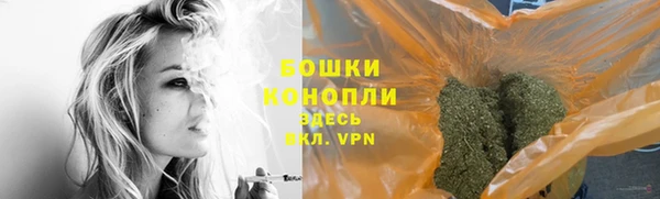 прущие грибы Магадан