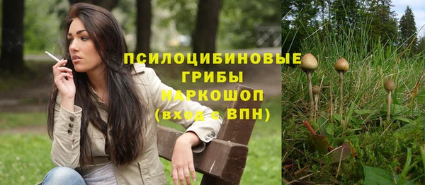 хмурый Анива