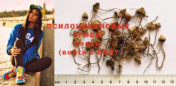 таблы Магас