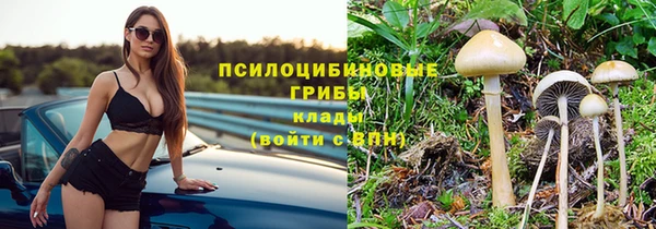 винт Майский