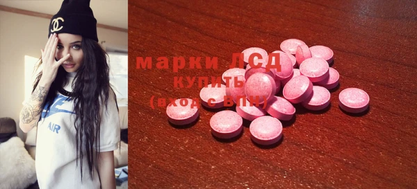 прущие грибы Магадан