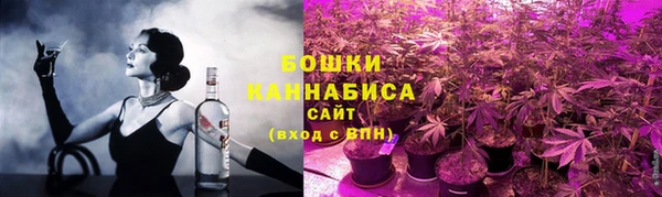 прущие грибы Магадан