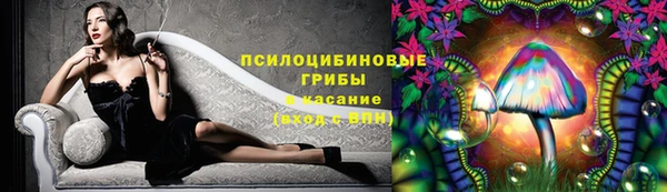 прущие грибы Магадан