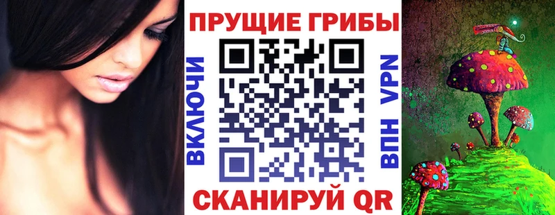 закладка  Игарка  Галлюциногенные грибы мицелий 